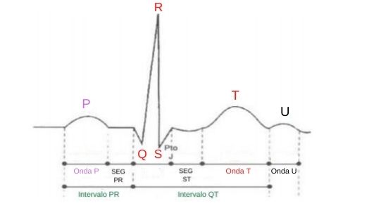 Figura 04 Eletrocardiograma Fonte Adaptado De FERREIRA Et Al 1998